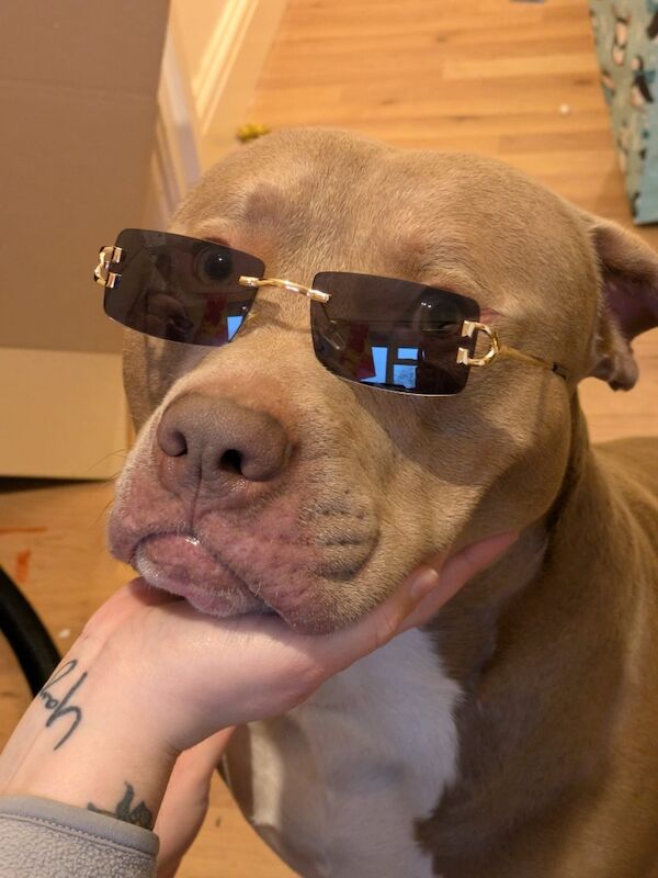 Roney - Image 2 of 7